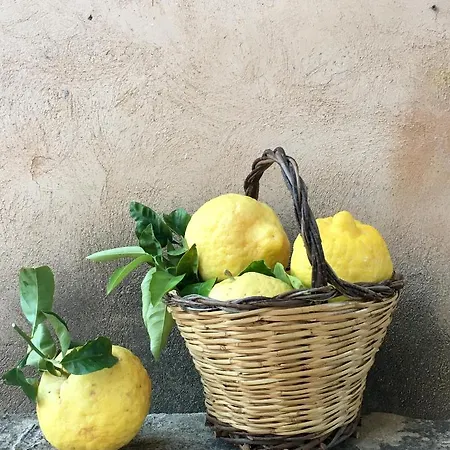 Masseria Caretti Grande * Casalabate